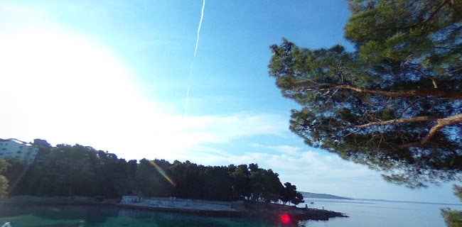 Restaurant Golden Rose