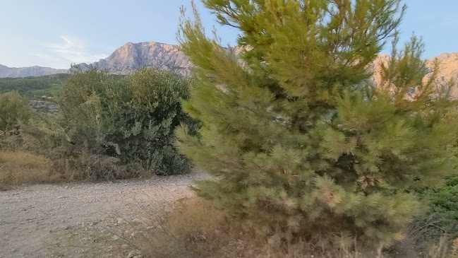 Beach bar Mozzart - Gastronomija i ugostiteljstvo