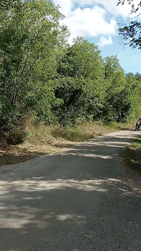 Matka Laginje 17, 52428, Oprtalj