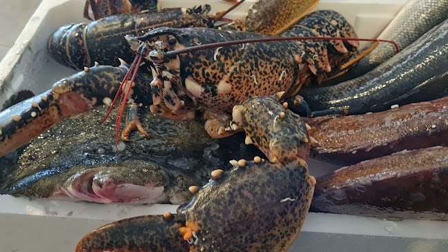 Opinii despre Restoran Santa Andrea în Savudrija - Gastronomija i ugostiteljstvo