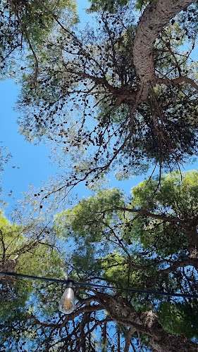 Comentarii opinii despre Bistro Plaza