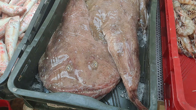 Opinii despre Gradska ribarnica (Peškarija) în Split - Gastronomija i ugostiteljstvo