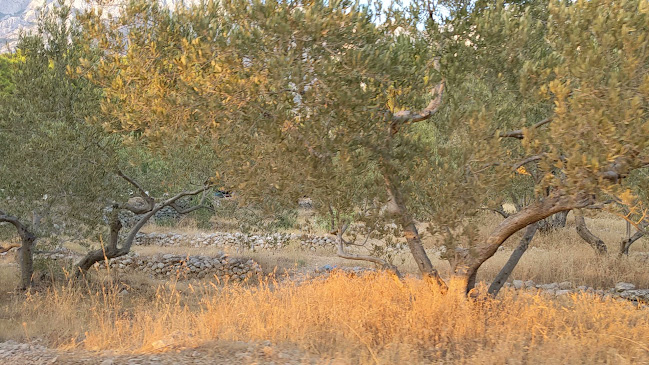 Beach bar Mozzart - Makarska