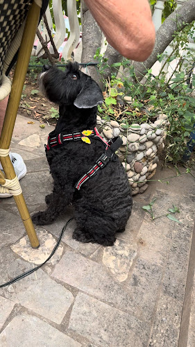 Comentarii opinii despre Restoran Anita