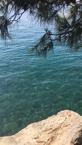 Kafić Obojena Svjetlost - Gastronomija i ugostiteljstvo