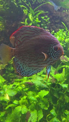 ul. Nikole Tesle 7, 10000, Zagreb