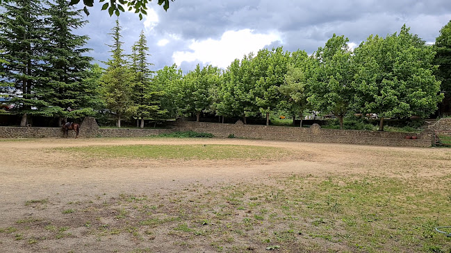 Ranc Mustang - Gastronomija i ugostiteljstvo