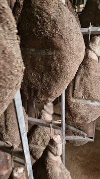 Pršutarna i stancija Buršić - Vodnjan