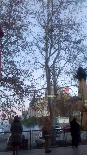 Comentarii opinii despre Restoran Mornar