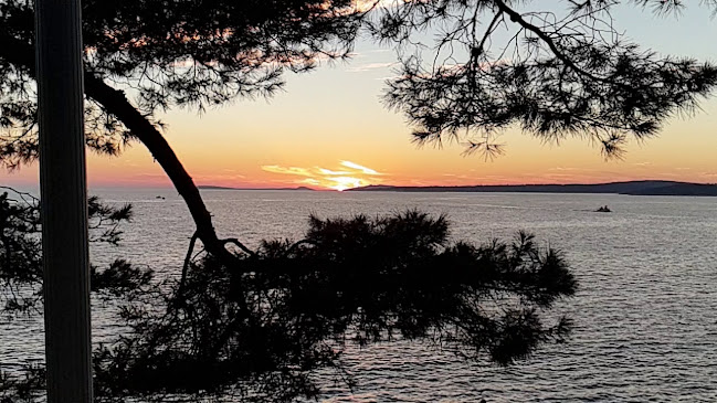 Comentarii opinii despre Lanterna Grill & Gourmet