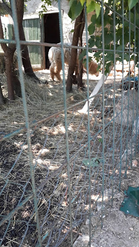 Restoran Anita - Gastronomija i ugostiteljstvo