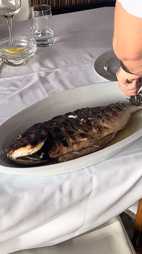 Na ratu 7, 20235, Dubrovnik