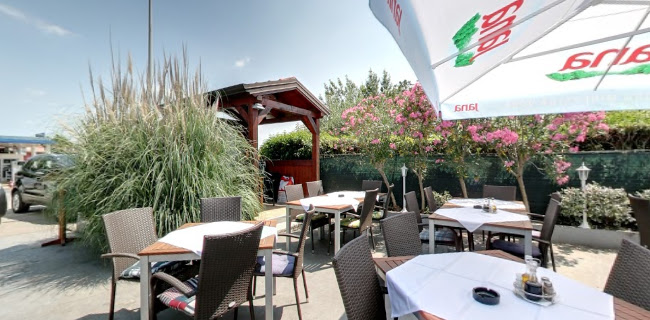 Restoran Dario - Gastronomija i ugostiteljstvo