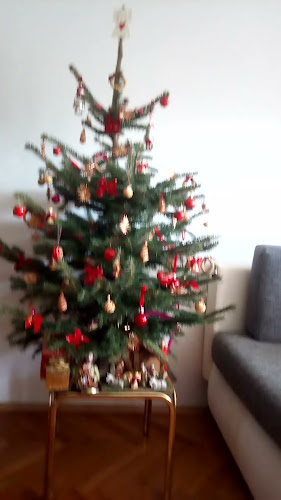 Comentarii opinii despre Zrno bio bistro