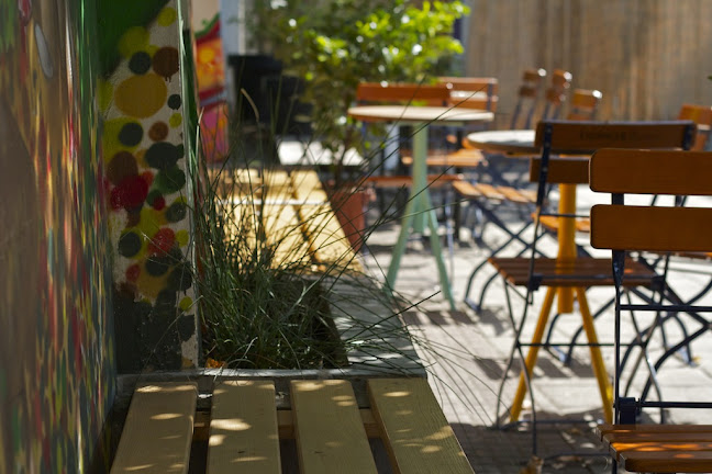 Cogito Coffee HQ / Café u Dvorištu