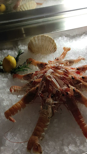 Opinii despre Restoran Due Fratelli în Labin - Gastronomija i ugostiteljstvo