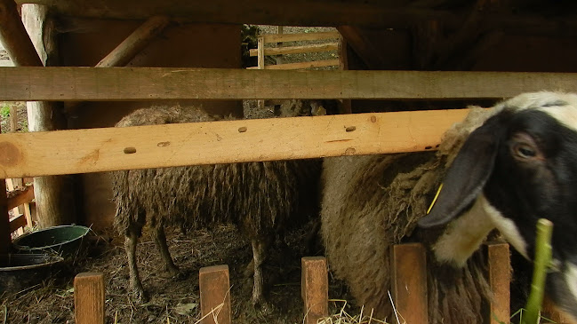 Comentarii opinii despre Izletište Kršlinov mlin