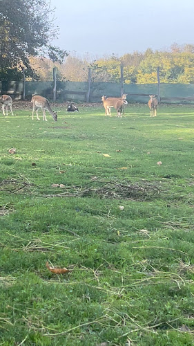 Jastrebov vrh - Bakovčica