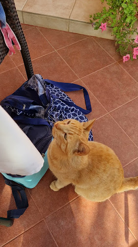 Comentarii opinii despre Bistro Toni