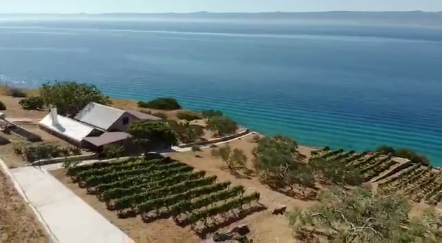 Gornji Humac 37, 21414, Gornji Humac