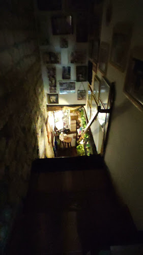 Comentarii opinii despre Bacchus