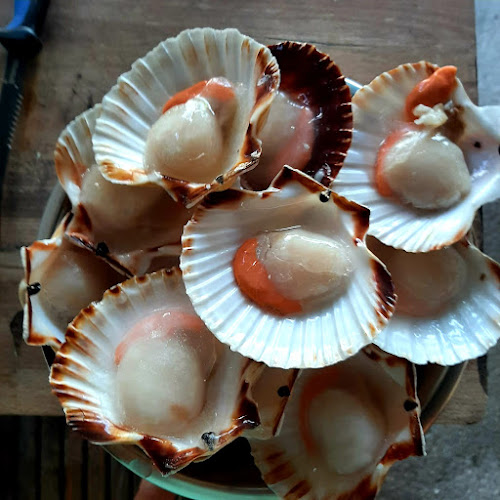 Restoran Privor - Gastronomija i ugostiteljstvo