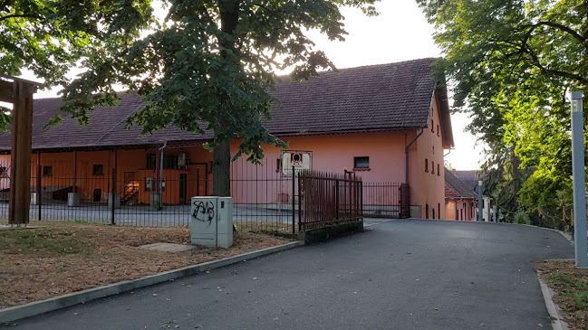 Restoran Stari podrum - Slatina