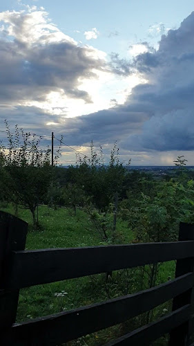 Maglenča 117, 43226, Maglenča