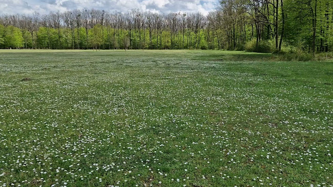 Comentarii opinii despre Lovački dom Kunjevci