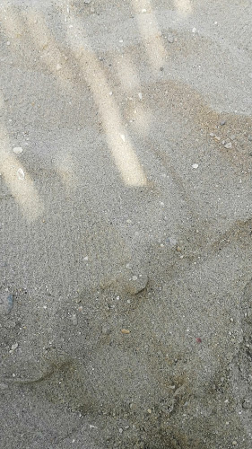 Comentarii opinii despre Beach bar Demos Nin -Ždrijac