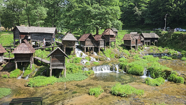 Comentarii opinii despre Restaurant Danica