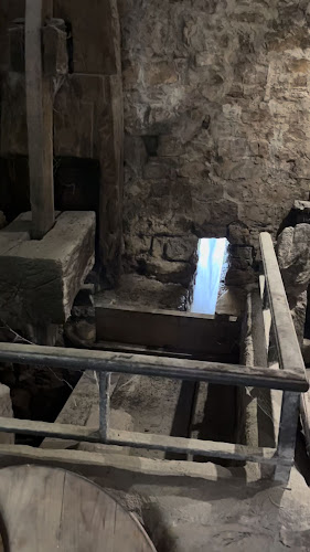 Comentarii opinii despre Antoničin mlin