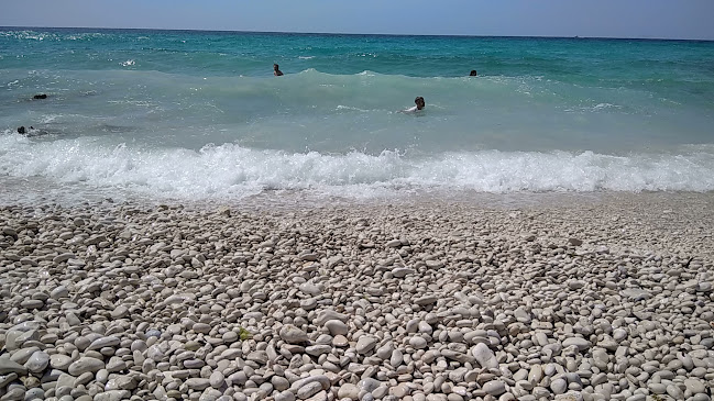 Danica - Veli Žal - Gastronomija i ugostiteljstvo