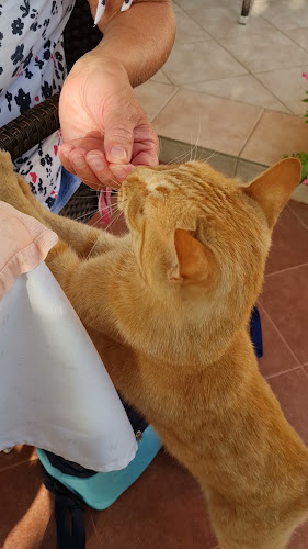 Jakišnica 326, 53294, Jakišnica