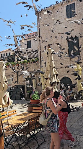 Ul. uz Jezuite 8, 20000, Dubrovnik