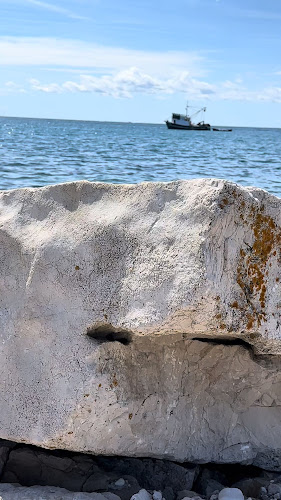 Volley Ferata - Gastronomija i ugostiteljstvo