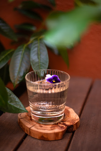 COLONNA cocktail bar - Gastronomija i ugostiteljstvo