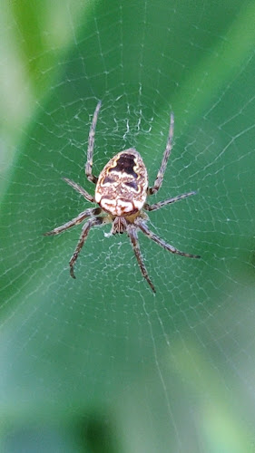 Bistro Pizzeria Paris - Kostrena