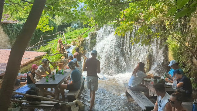 Opinii despre Seosko Domacinstvo Kristijan în Bogatić - Gastronomija i ugostiteljstvo