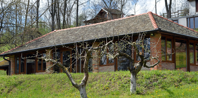 Kaponja 15, 31309, Kneževi Vinogradi