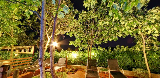 Opinii despre Barba Danilo's Wine, Aperitifs & Istrian Snacks în Rovinj - Gastronomija i ugostiteljstvo