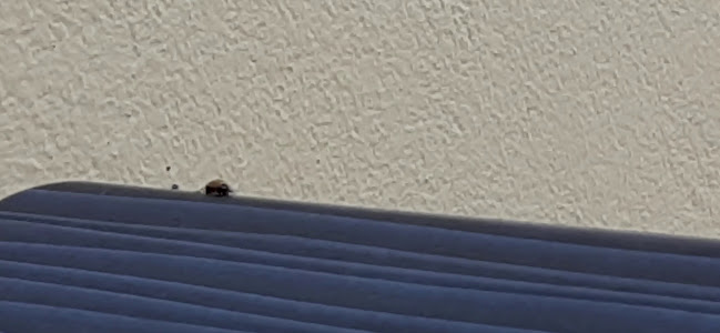 Opinii despre Slastičarnica Petar Pan în Osijek - Gastronomija i ugostiteljstvo