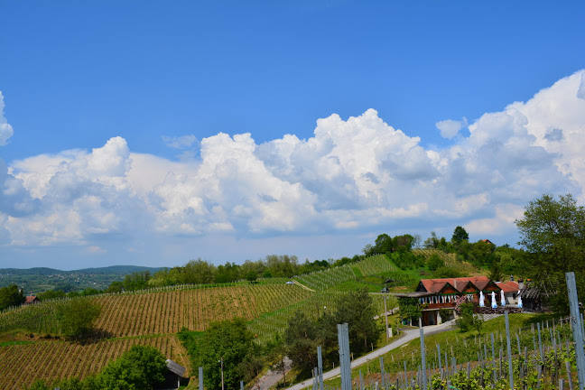 Klet Ljubekov gaj - Gastronomija i ugostiteljstvo