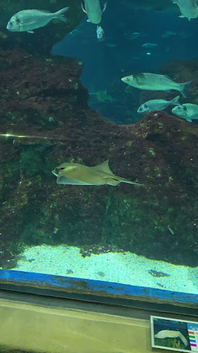 Theatrium by Filho - Zagreb