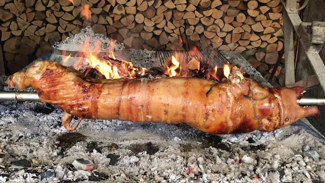 Jadranska Magistrala 99, 23000, Zadar