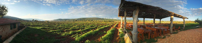 Hora Hvar - Stari Grad