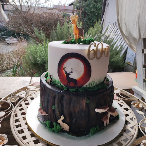 Comentarii opinii despre MMtorte d.O.O