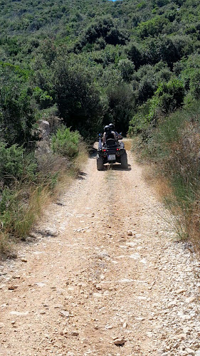 Opinii despre Konoba Kamenjak în Radašinovci - Gastronomija i ugostiteljstvo