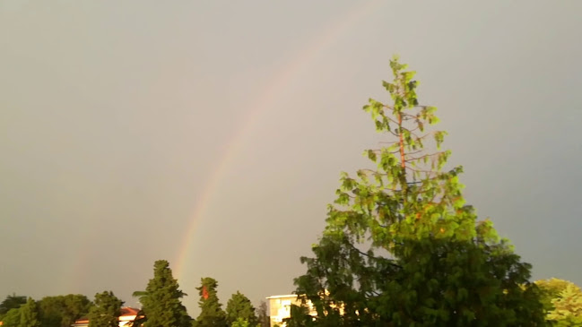 Pizzeria Barkun / dostava pizze Pula / pizza delivery