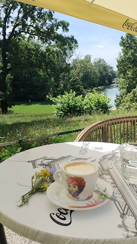 Comentarii opinii despre Vidikovac